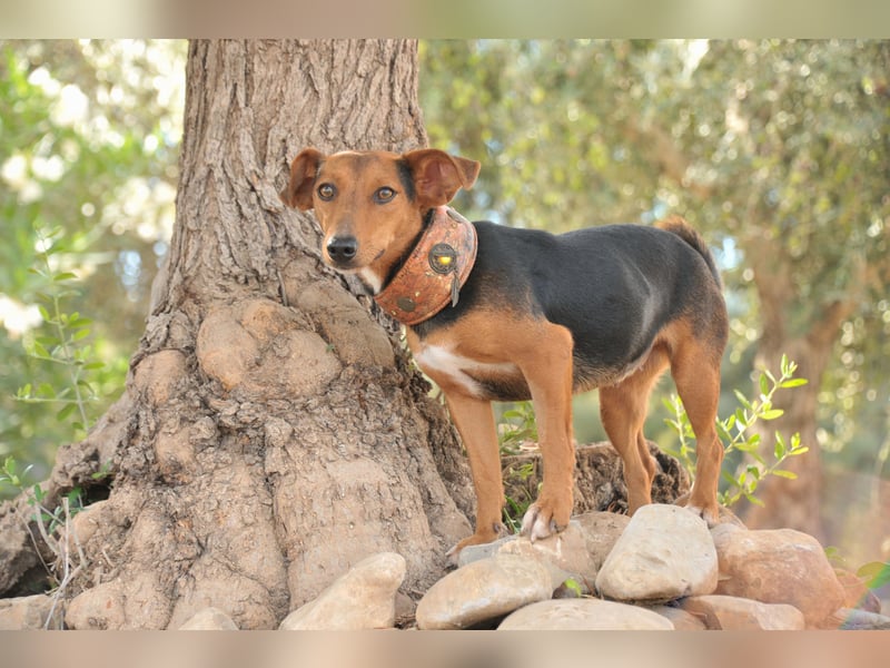 Zeigst du Lenny wie schön das Hundeleben sein kann?