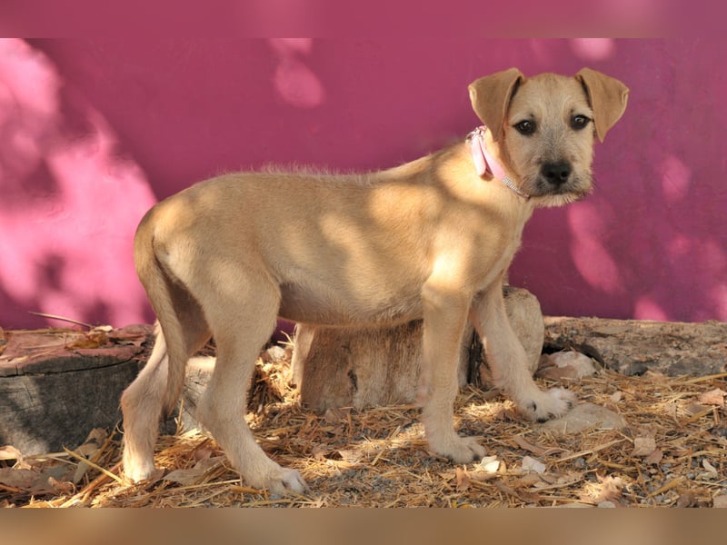 Zeigen Sie Rafael wie schön ein Zuhause ist?