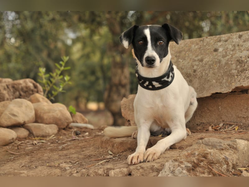 Sind Sie bereit Letty Liebe und Sicherheit zu schenken?