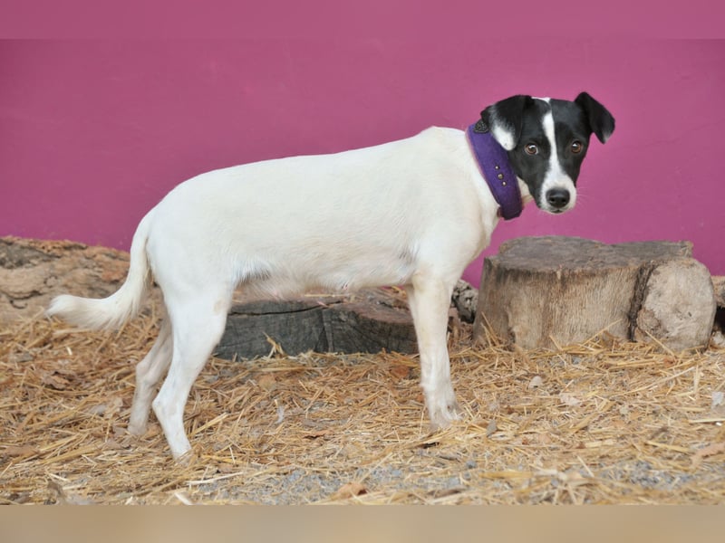 Sind Sie bereit Letty Liebe und Sicherheit zu schenken?