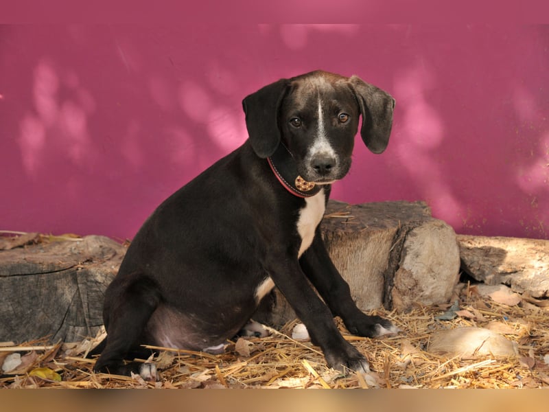 Zeigen Sie Ramon wie schön das Leben sein kann?