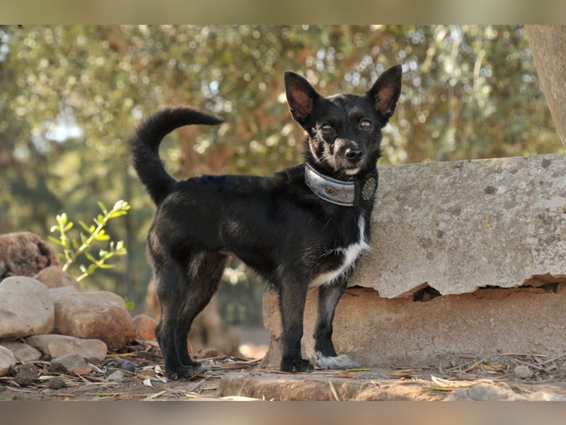 Darf Mia bei dir ihr Glück finden?