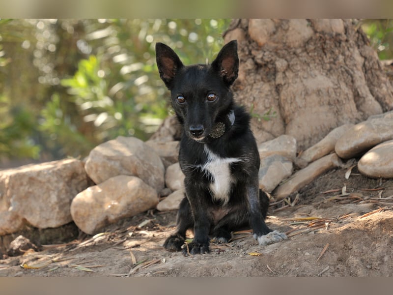 Darf Mia bei dir ihr Glück finden?