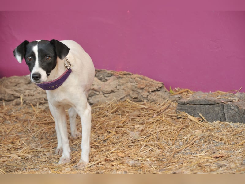 Sind Sie bereit Letty Liebe und Sicherheit zu schenken?