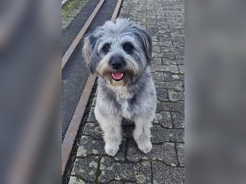 Darf Olaf gemeinsam mit dir wachsen?
