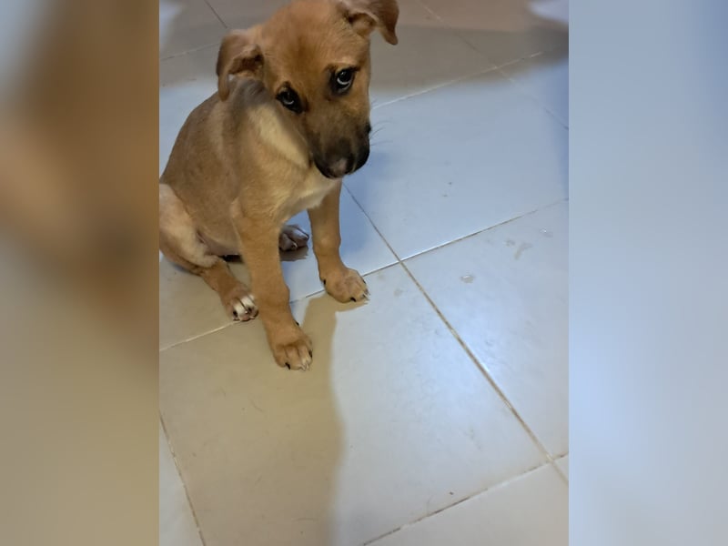 Darf Giselle ihr kleines Herz bei dir groß werden lassen?