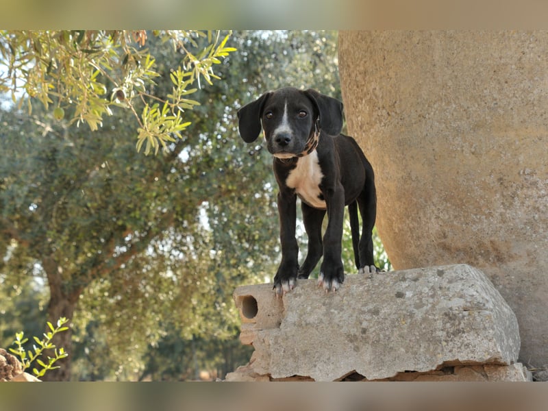 Zeigen Sie Ramon wie schön das Leben sein kann?