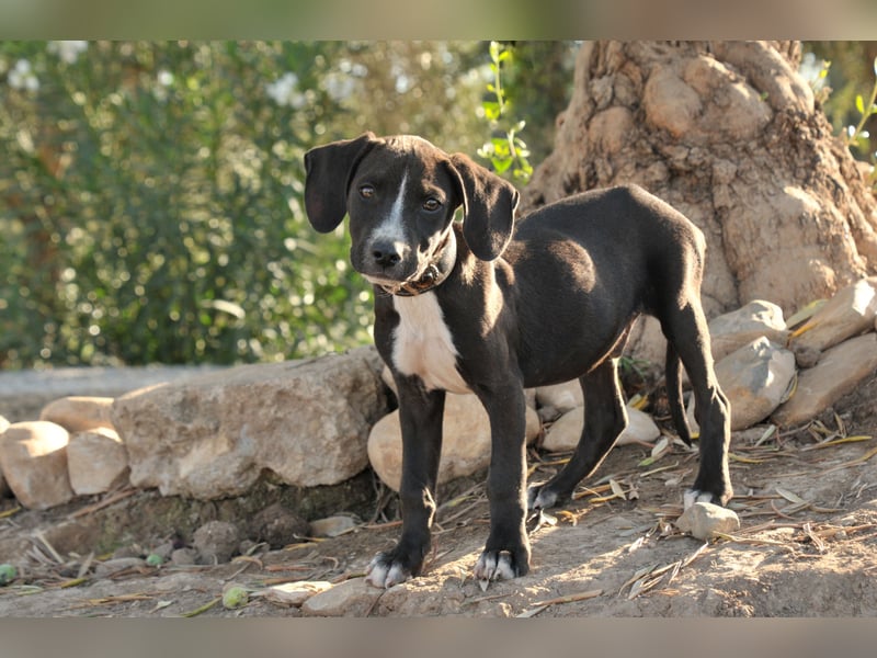 Zeigen Sie Ramon wie schön das Leben sein kann?