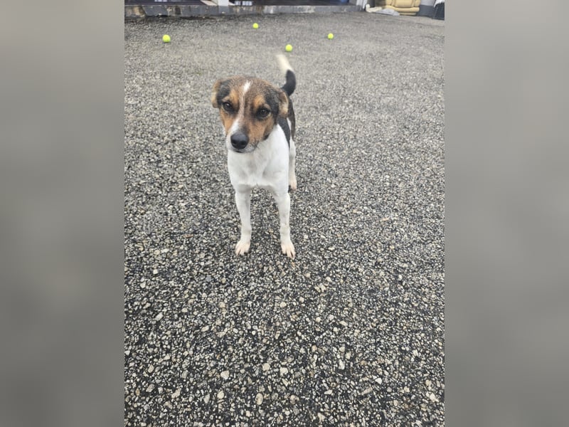 Wer zeigt Vinci wie schön ein eigenes Zuhause sein kann?