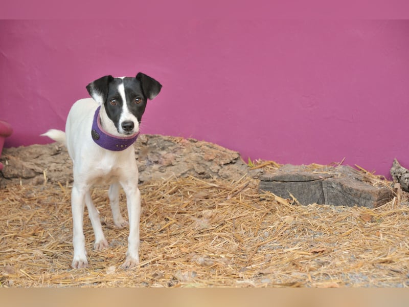 Sind Sie bereit Letty Liebe und Sicherheit zu schenken?