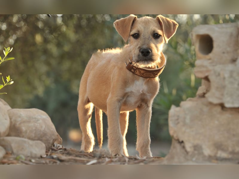 Zeigen Sie Rafael wie schön ein Zuhause ist?