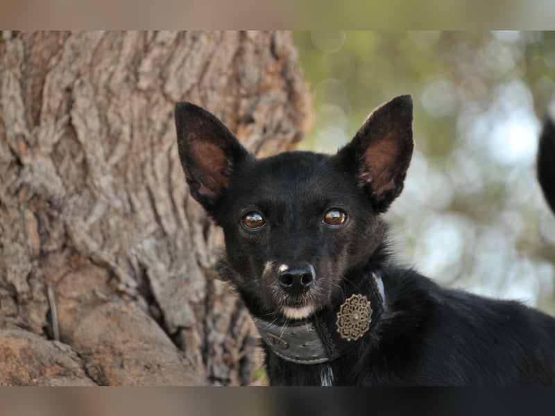 Darf Mia bei dir ihr Glück finden?