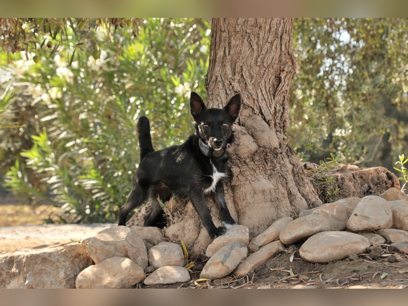 Darf Mia bei dir ihr Glück finden?