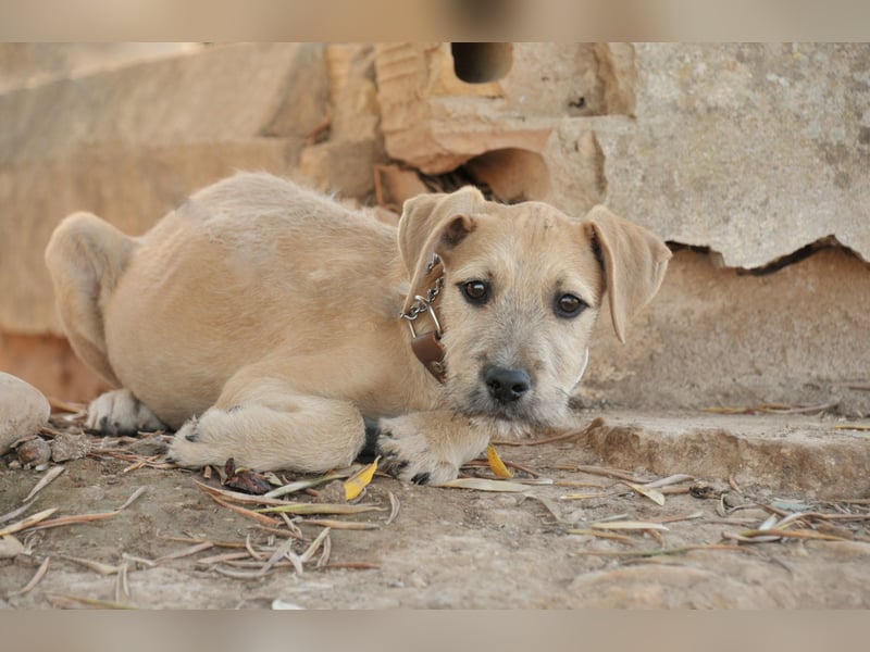 Zeigen Sie Rafael wie schön ein Zuhause ist?