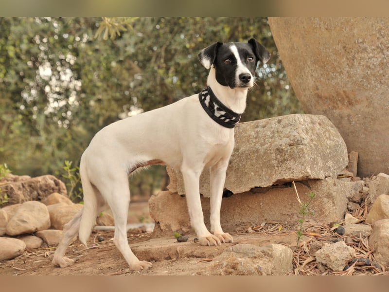 Sind Sie bereit Letty Liebe und Sicherheit zu schenken?