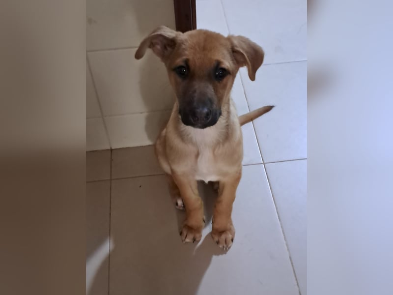 Darf Giselle ihr kleines Herz bei dir groß werden lassen?