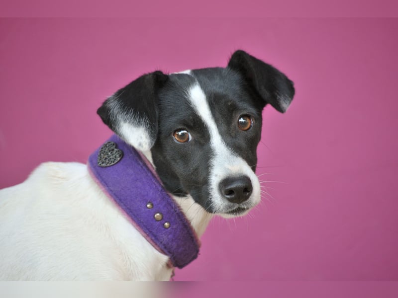 Sind Sie bereit Letty Liebe und Sicherheit zu schenken?