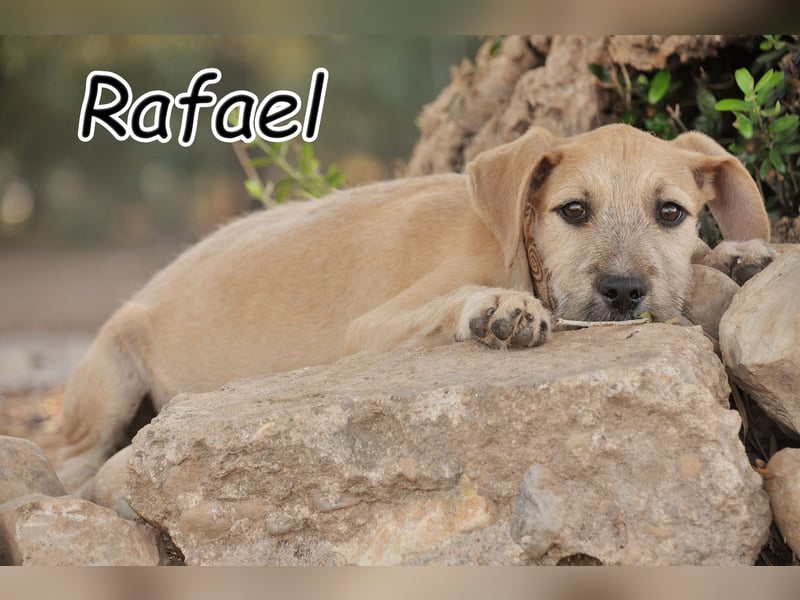 Zeigen Sie Rafael wie schön ein Zuhause ist?