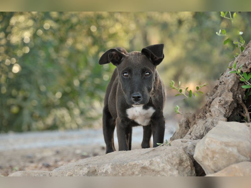 Zeigen Sie Raul, wie es ist, geliebt zu werden?