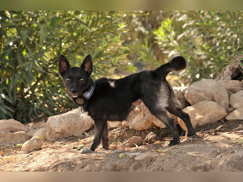 Darf Mia bei dir ihr Glück finden?
