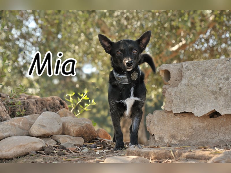 Darf Mia bei dir ihr Glück finden?