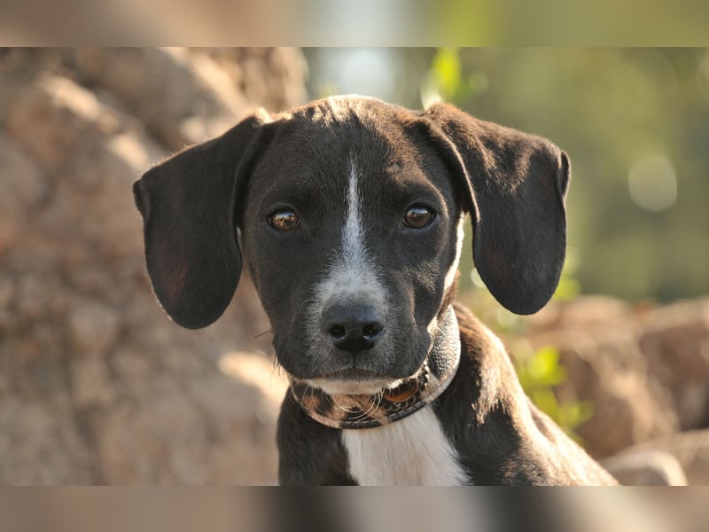 Zeigen Sie Ramon wie schön das Leben sein kann?