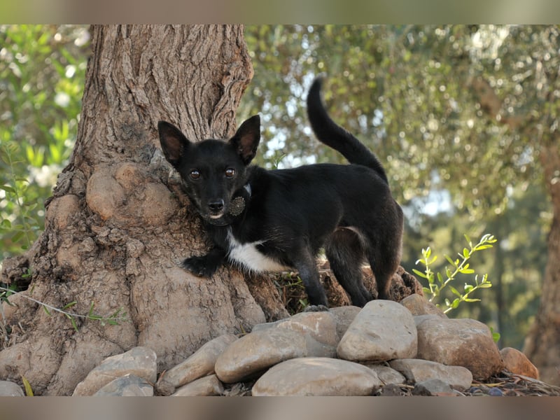 Darf Mia bei dir ihr Glück finden?