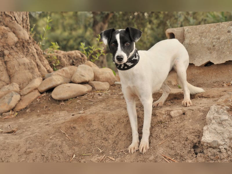 Sind Sie bereit Letty Liebe und Sicherheit zu schenken?