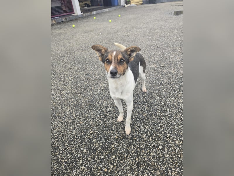 Wer zeigt Vinci wie schön ein eigenes Zuhause sein kann?