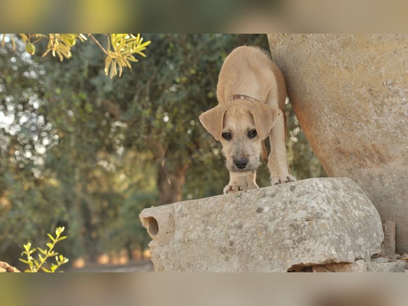 Zeigen Sie Rafael wie schön ein Zuhause ist?