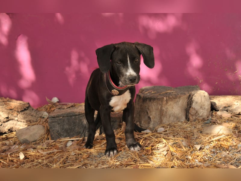 Zeigen Sie Ramon wie schön das Leben sein kann?