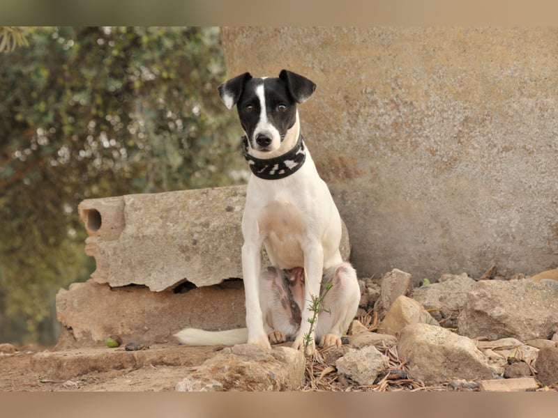 Sind Sie bereit Letty Liebe und Sicherheit zu schenken?