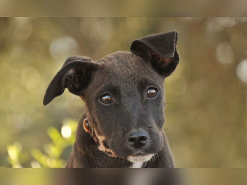 Zeigen Sie Raul, wie es ist, geliebt zu werden?