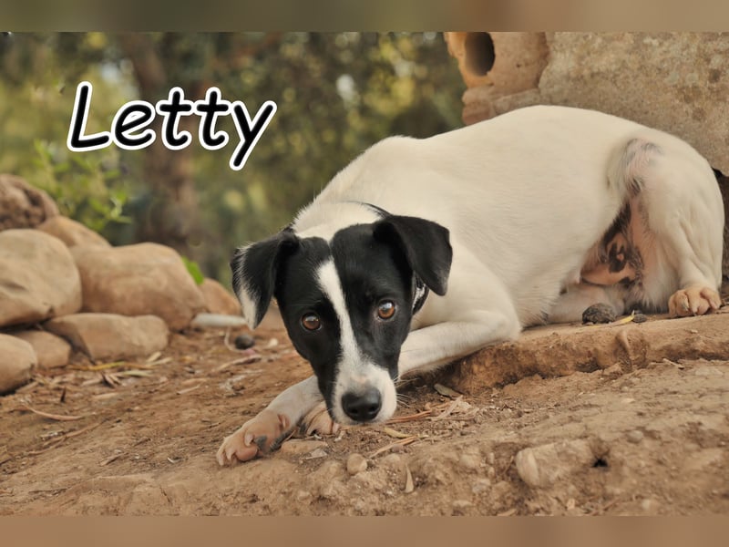 Sind Sie bereit Letty Liebe und Sicherheit zu schenken?