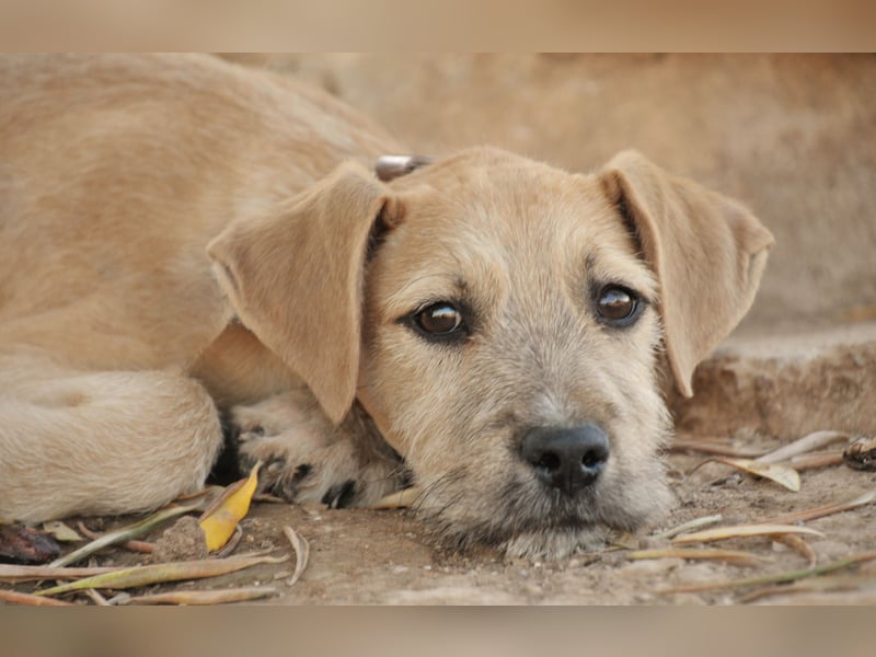 Zeigen Sie Rafael wie schön ein Zuhause ist?