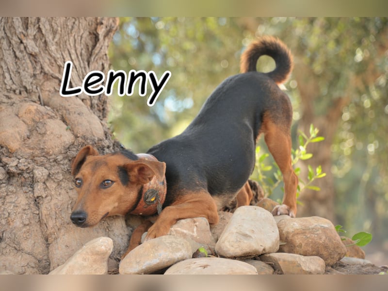 Zeigst du Lenny wie schön das Hundeleben sein kann?