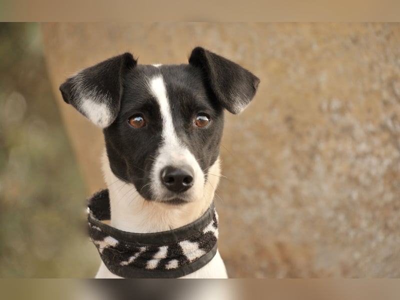 Sind Sie bereit Letty Liebe und Sicherheit zu schenken?