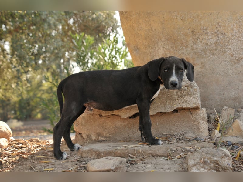 Zeigen Sie Ramon wie schön das Leben sein kann?