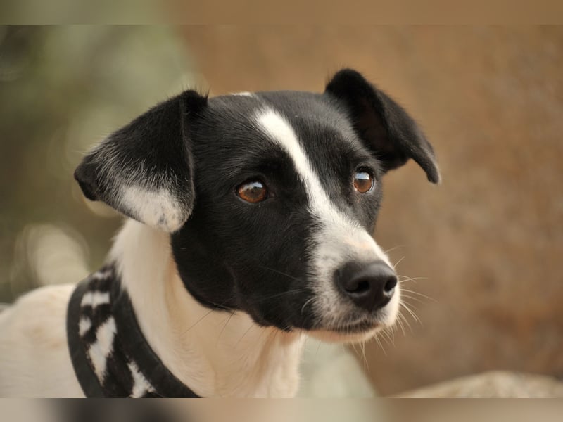 Sind Sie bereit Letty Liebe und Sicherheit zu schenken?