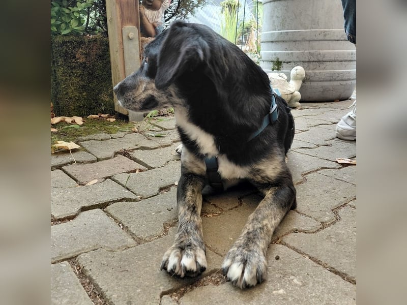 Jette ein kleiner Goldschatz