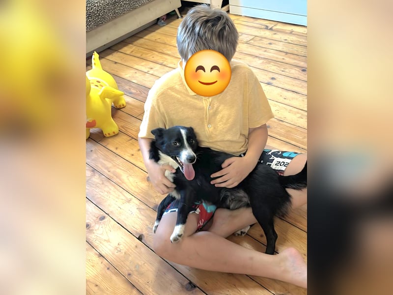 Kleine Luisa sucht ihr Für-immer-Glück Kleine Luisa sucht ihr Für-immer-Glück