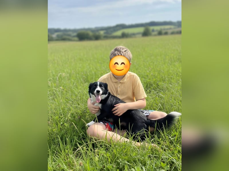 Kleine Luisa sucht ihr Für-immer-Glück Kleine Luisa sucht ihr Für-immer-Glück