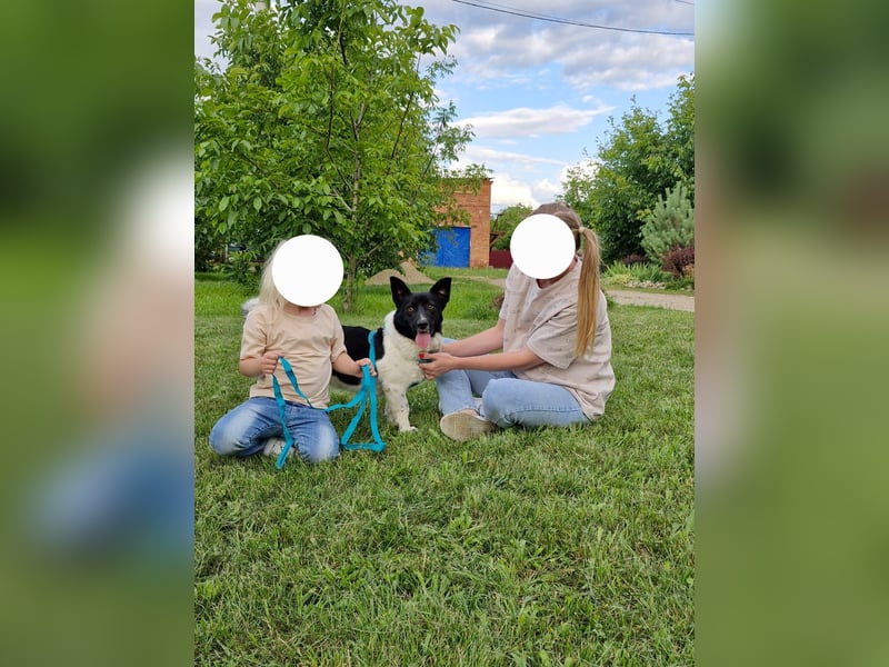 Lieber Willi sucht Familienanschluss