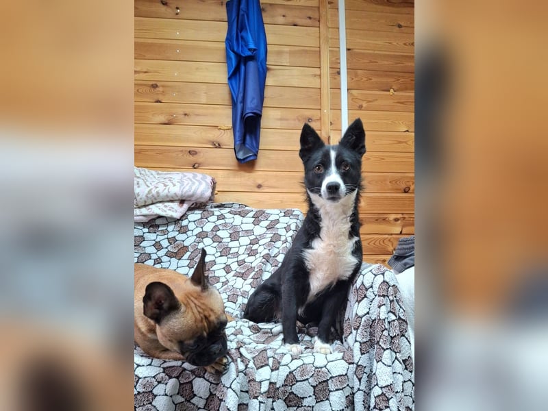 Kleine Luisa sucht ihr Für-immer-Glück Kleine Luisa sucht ihr Für-immer-Glück