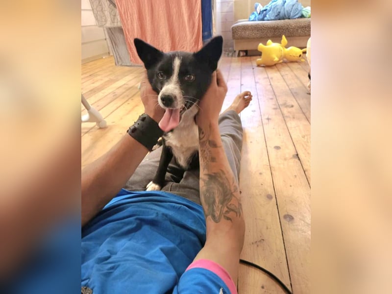 Kleine Luisa sucht ihr Für-immer-Glück Kleine Luisa sucht ihr Für-immer-Glück