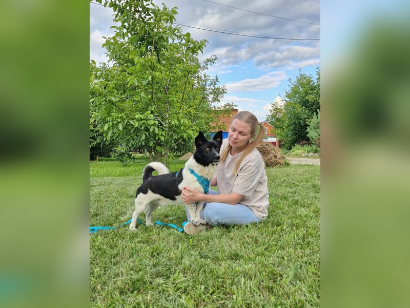 Lieber Willi sucht Familienanschluss