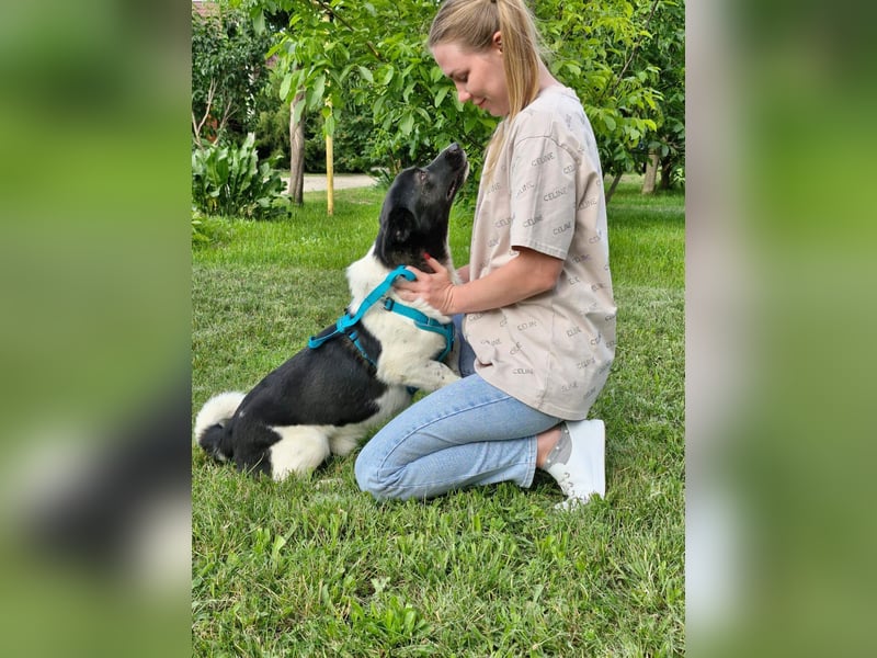 Lieber Willi sucht Familienanschluss