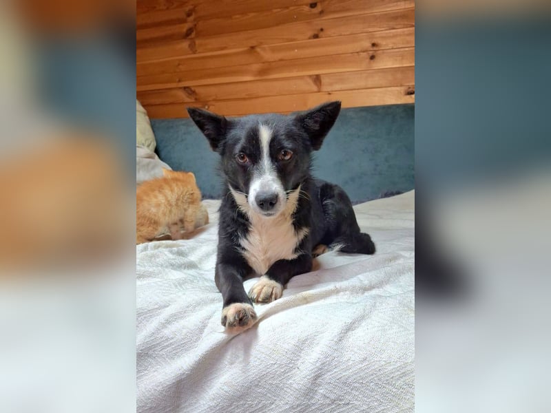Kleine Luisa sucht ihr Für-immer-Glück Kleine Luisa sucht ihr Für-immer-Glück