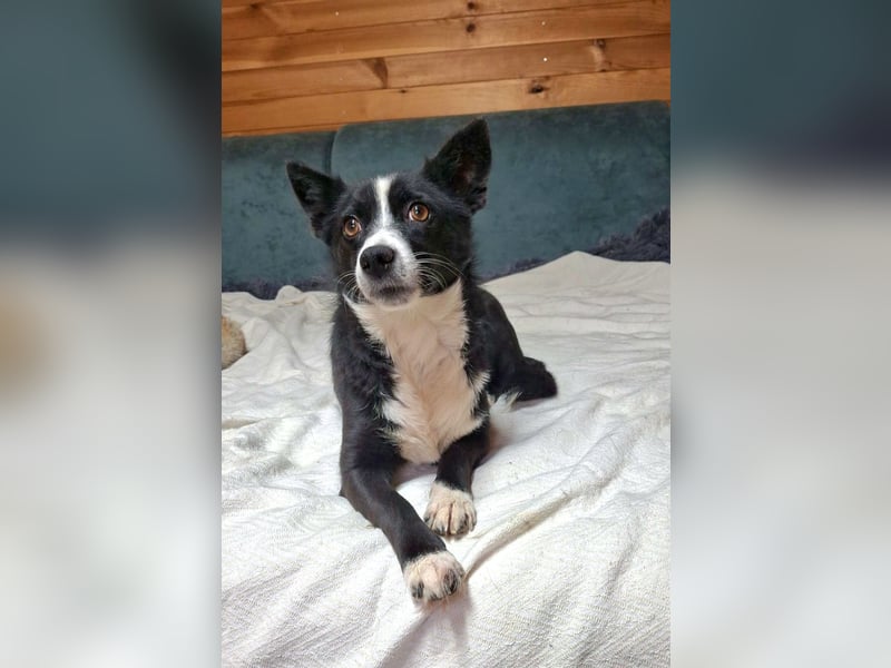 Kleine Luisa sucht ihr Für-immer-Glück Kleine Luisa sucht ihr Für-immer-Glück