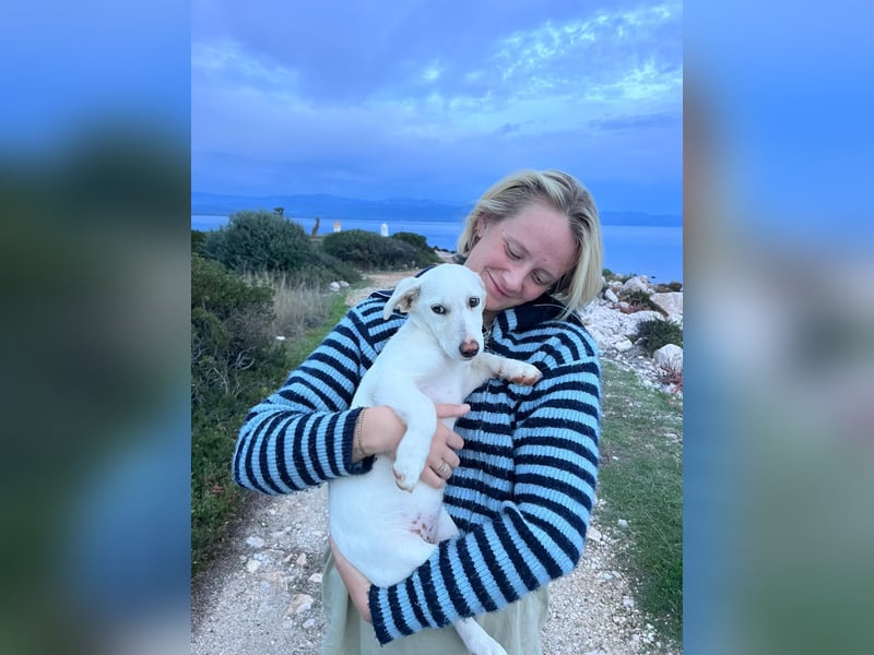 Imani: kleine Hündin sucht großes Glück